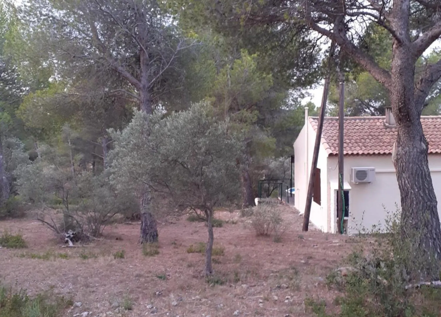 Mazet Pleine Nature Mouries France